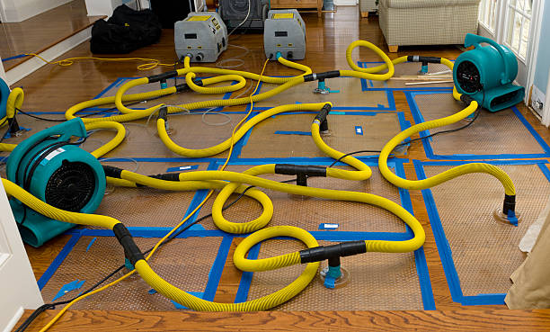 Professional Structural Drying And Dehumidification technician working in Hobart, IN